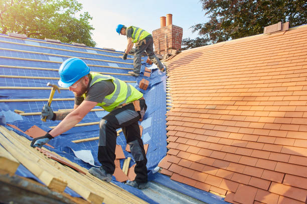 Best Solar Panel Roofing Installation  in Rden City, GA